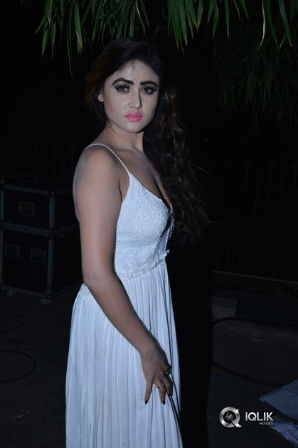 Sony-Charishta-At-Nanna-Nenu-Naa-Boyfriends-Movie-Audio-Launch